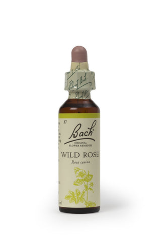 Bach Original Flower Remedy Wild Rose 20 ml