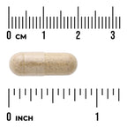 Resveratrol