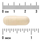 Diet Duo - Features Chitosan and White Kidney Bean