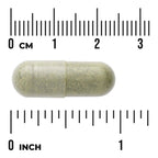 Neem Leaf