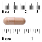 Full Spectrum Grape Seed