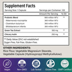 Probiotic Capsules - 900 Million AFU of Akkermansia, Clostridium, Bifidobacterium. Added Prebiotic Chicory and Green Tea Exact.