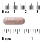 Grape Seed Extract - Standardized