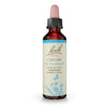 Bach Original Flower Remedies, Chicory for Unconditional Love, Natural Homeopathic Flower Essence, Holistic Wellness and Stress 