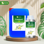 Frangipani Oil (Plumeria) Oil |100% Pure & Natural Undiluted Essential Oil (16.90 Fl Oz (Pack of 1))