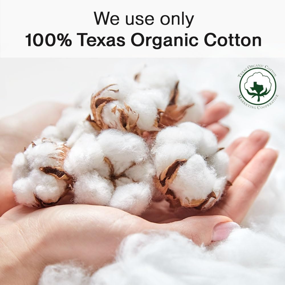 SANDIS Premium 100% Organic Panty Liners - Chemical Free Cotton Ultra Thin Liner for Women | Feminine Sanitary Napkins Unscented