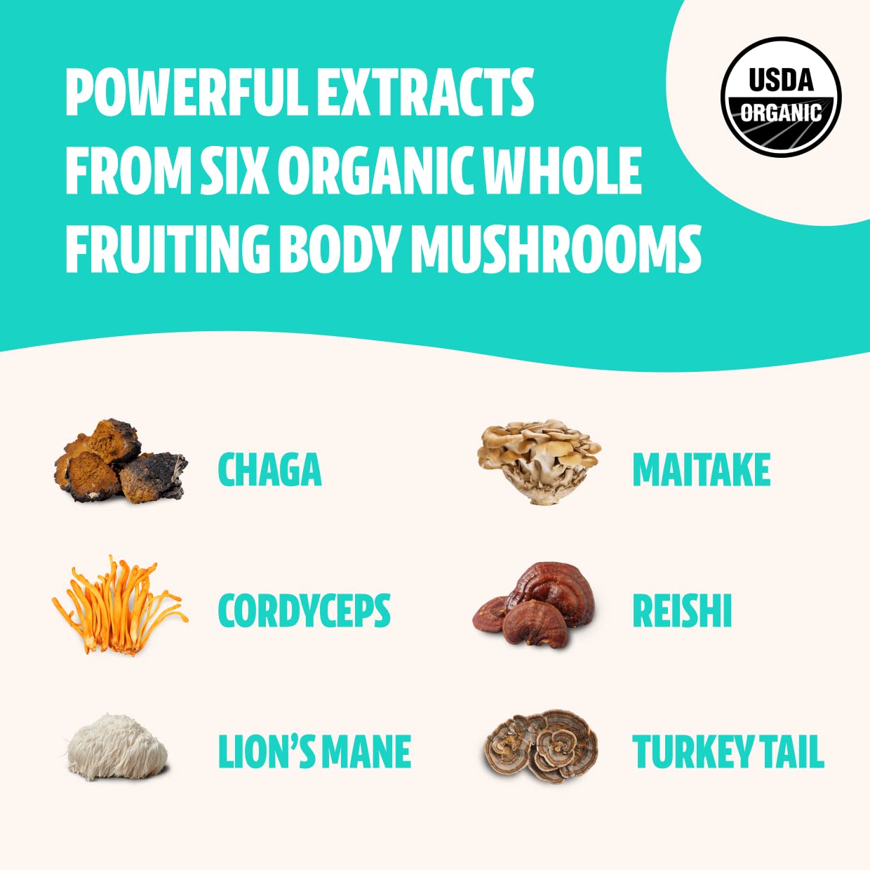 FreshCap Ultimate Mushroom Complex Powder - Ayurveda Lions Mane, Reishi, Cordyceps, Chaga, Turkey Tail, Maitake Supplements - fo