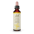 Bach Original Flower Remedies, Cerato for Trusting Intuition, Natural Homeopathic Flower Essence, Holistic Wellness and Stress R