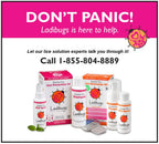 Ladibugs Elimination Mousse | Natural Ingredients | Highly Effective Head Lice & Nit Fix | Safe Removal for Kids, Family