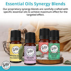 Wild Essentials Autumn Dance 100% Pure Essential Oil Synergy Blend - 10ml, Therapeutic Grade, Warming, Potpourri, Comfort, Made