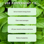 MOXE Peppermint Essential Oil Nasal Inhaler, Therapeutic No-Mess Aromatherapy, Cooling, Refreshing, Invigorating, Uplifts Mood a