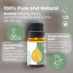 Essences Bulgaria Organic Eucalyptus Essential Oil 0.51 Fl Oz 15ml Eucalyptus globulus 100% Pure Natural Undiluted Therapeutic G