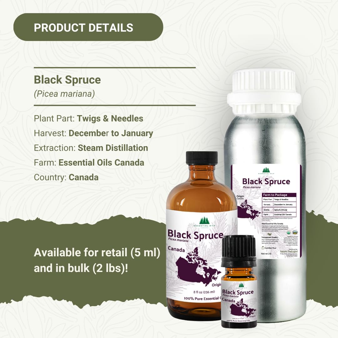 Nature Packaged Black Spruce Essential Oil from Canada - Pure Essential Oils for Diffuser, Humidifier, or Aromatherapy- Fresh &