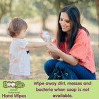 Antibacterial Hand Wipes by Boogie Wipes, Alcohol-Free, Hypoallergenic and Moisturizing Aloe, Boogie Hand Wipes for Adults and K