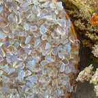 Indian Consigners Natural Crushed Polished Tumbled Gem Stone Chips, Decoration & Healing Crystals (White Opal)