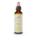 Bach Original Flower Remedies, Honeysuckle for Embracing the Now, Natural Homeopathic Flower Essence, Emotional Wellness and Str