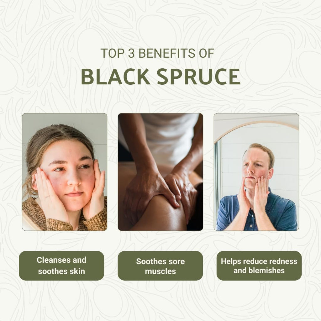 Nature Packaged Black Spruce Essential Oil from Canada - Pure Essential Oils for Diffuser, Humidifier, or Aromatherapy- Fresh &