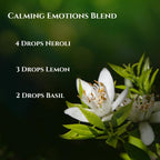 SenseLAB Neroli Essential Oil - 100% Pure Extract Neroli Oils - Therapeutic Grade Essential Oils - Oil Skin - Oil Hair - Oil Dif