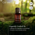 Gya Labs Frosty Forest Essential Oil Blend - Revitalizing & Invigorating (0.34 Fl Oz)