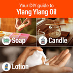 Hana Ylang-Ylang Essential Oil - 100% Pure and Natural Ylang Ylang Essential Oil for Hair, Diffuser, Skin and Aromatherapy (1 F