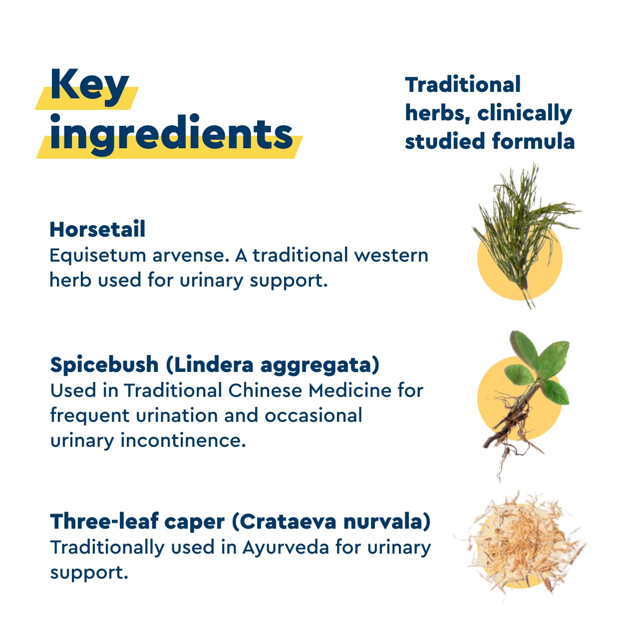 Uqora in Control Bladder Support - Daily Bladder Care & Support for Urinary Comfort - Made with botanicals, Like Horsetail & Spi