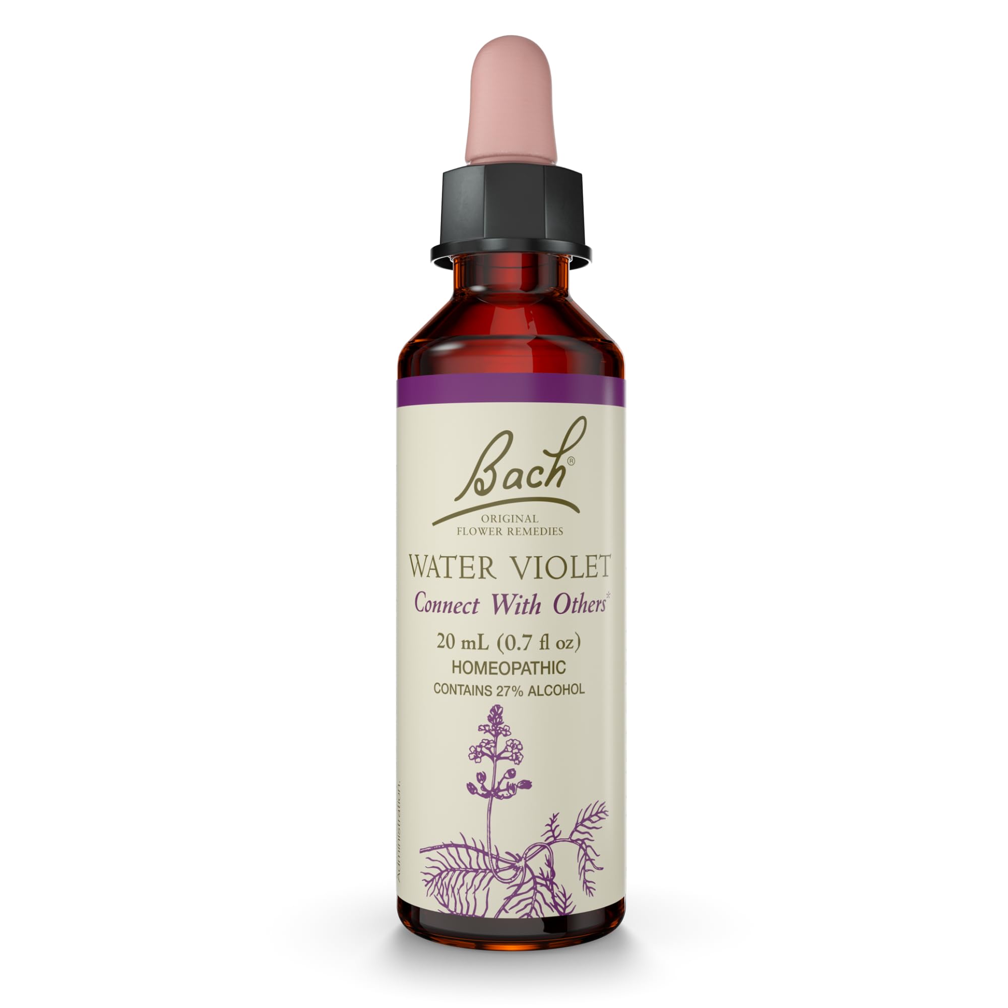 Bach Original Flower Remedies, Water Violet - Connect with Others - Natural Homeopathic Flower Essence for Emotional Balance - V