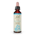 Bach Original Flower Remedies, Vine for Motivation, Natural Homeopathic Flower Essence, Holiday Gift for Him or Her, Vegan, 20mL