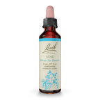 Bach Original Flower Remedies, Vine for Motivation, Natural Homeopathic Flower Essence, Holiday Gift for Him or Her, Vegan, 20mL