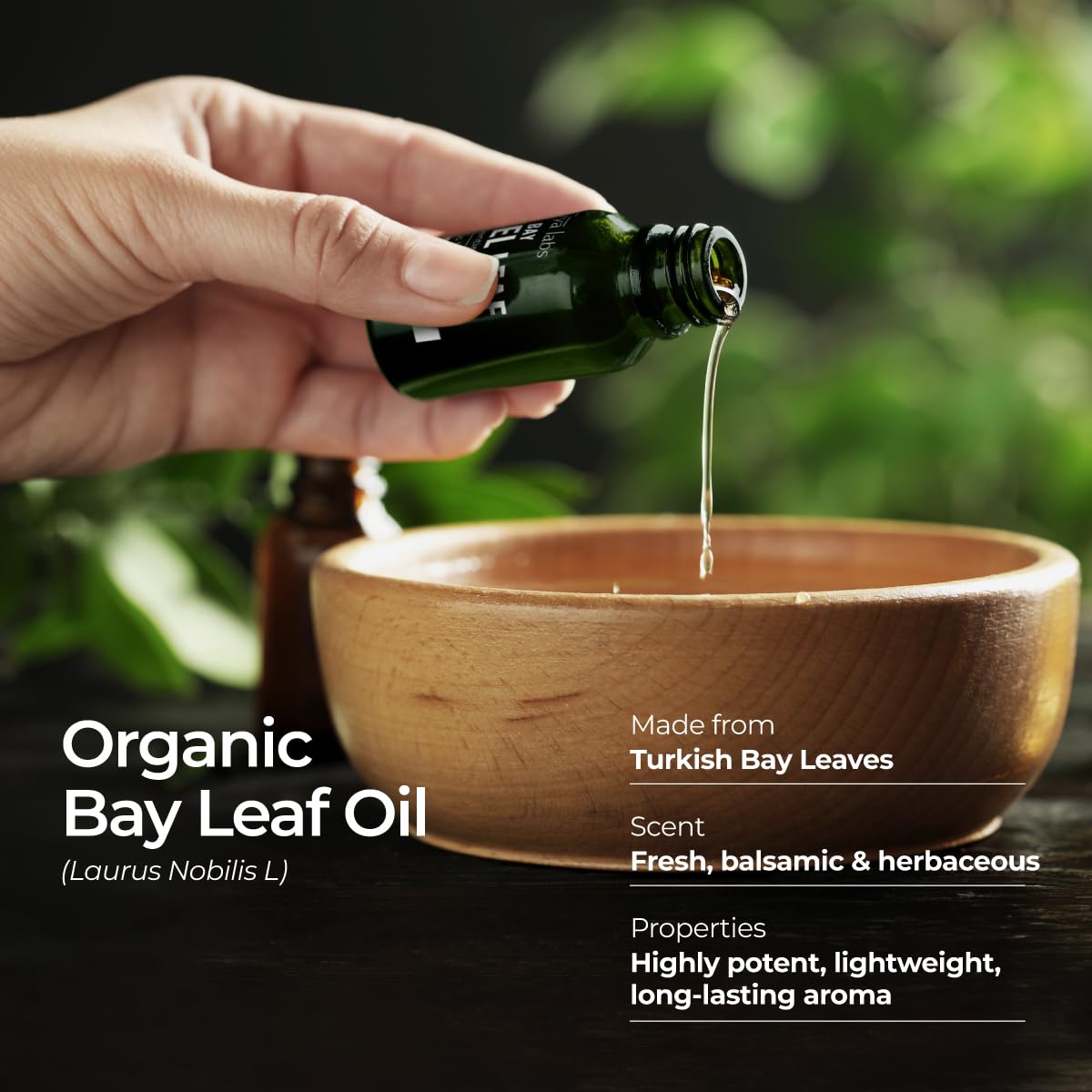 Gya Labs USDA Certified Organic Bay Leaf Essential Oil for Diffuser - 100% Pure Nautral Bay Leaf Oil Organic for Hair, Fresh Her