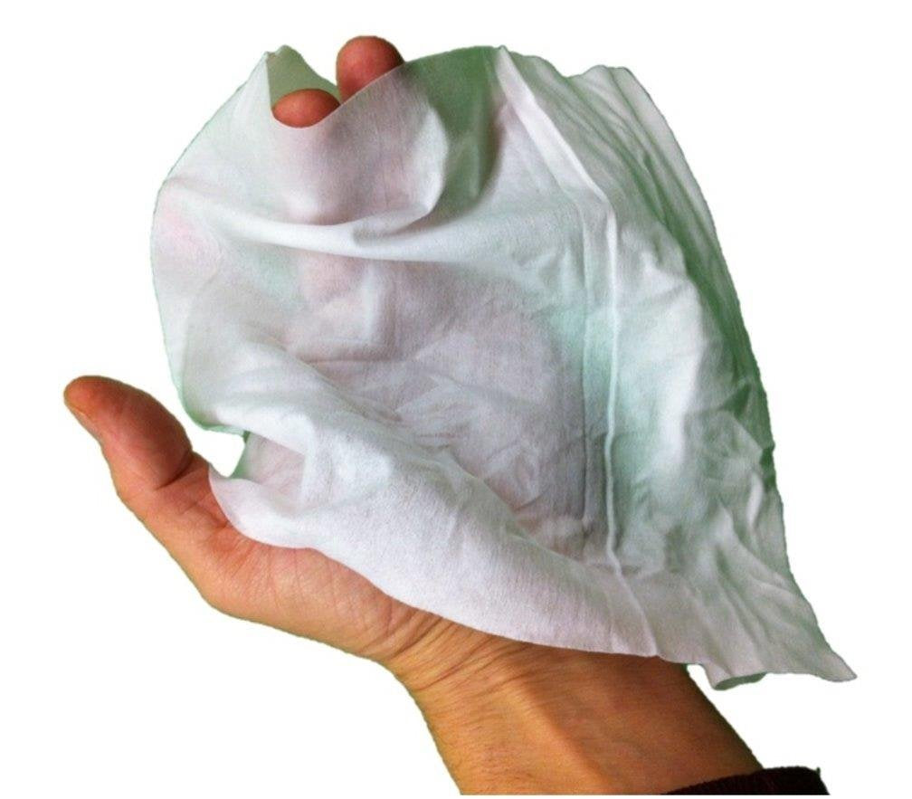 Prima Wipes Adult Washcloths, Bulk 12 Pack Case with 48 Extra-Large 9x13 Wipes Per Pack