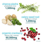 Holistic MD Stone Breaker Chanca Piedra 1,500mg Gummies Kidney Stones Cleanse Gallbladder Formula | Plus Cranberry Extract Might