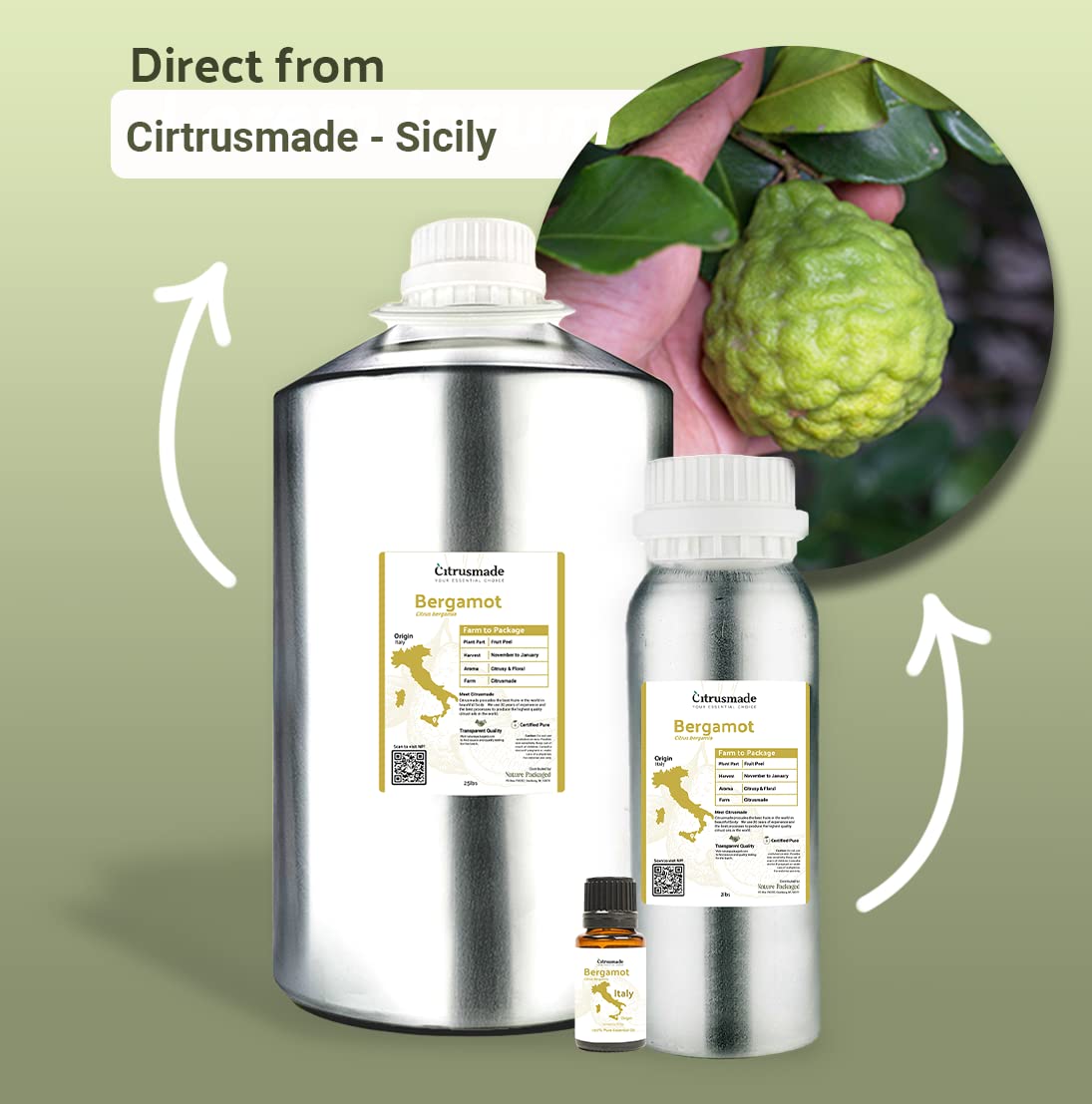 Nature Packaged Bergamot Essential Oil - Direct from Citrusmade in Sicily- Pure Essential Oil for Diffusers and Aromatherapy | 1