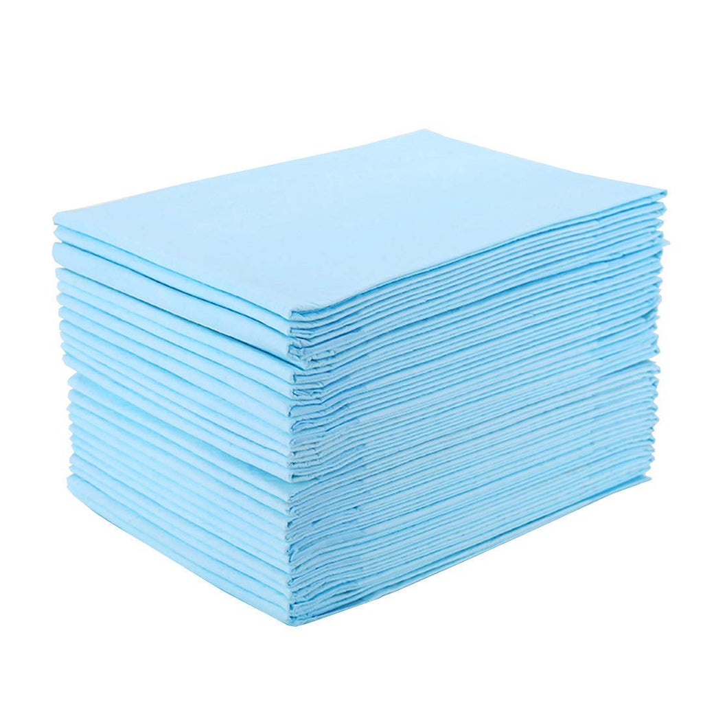 Platinum Care Pads Disposable Underpad, Blue (Chux) (17 Inches X 24 Inches 300 Per Case)