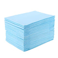 Platinum Care Pads Disposable Underpad, Blue (Chux) (17 Inches X 24 Inches 300 Per Case)