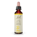 Bach Original Flower Remedies, Gorse for Hope, Natural Homeopathic Flower Essence, Holistic Wellness and Stress Relief, Vegan, 2