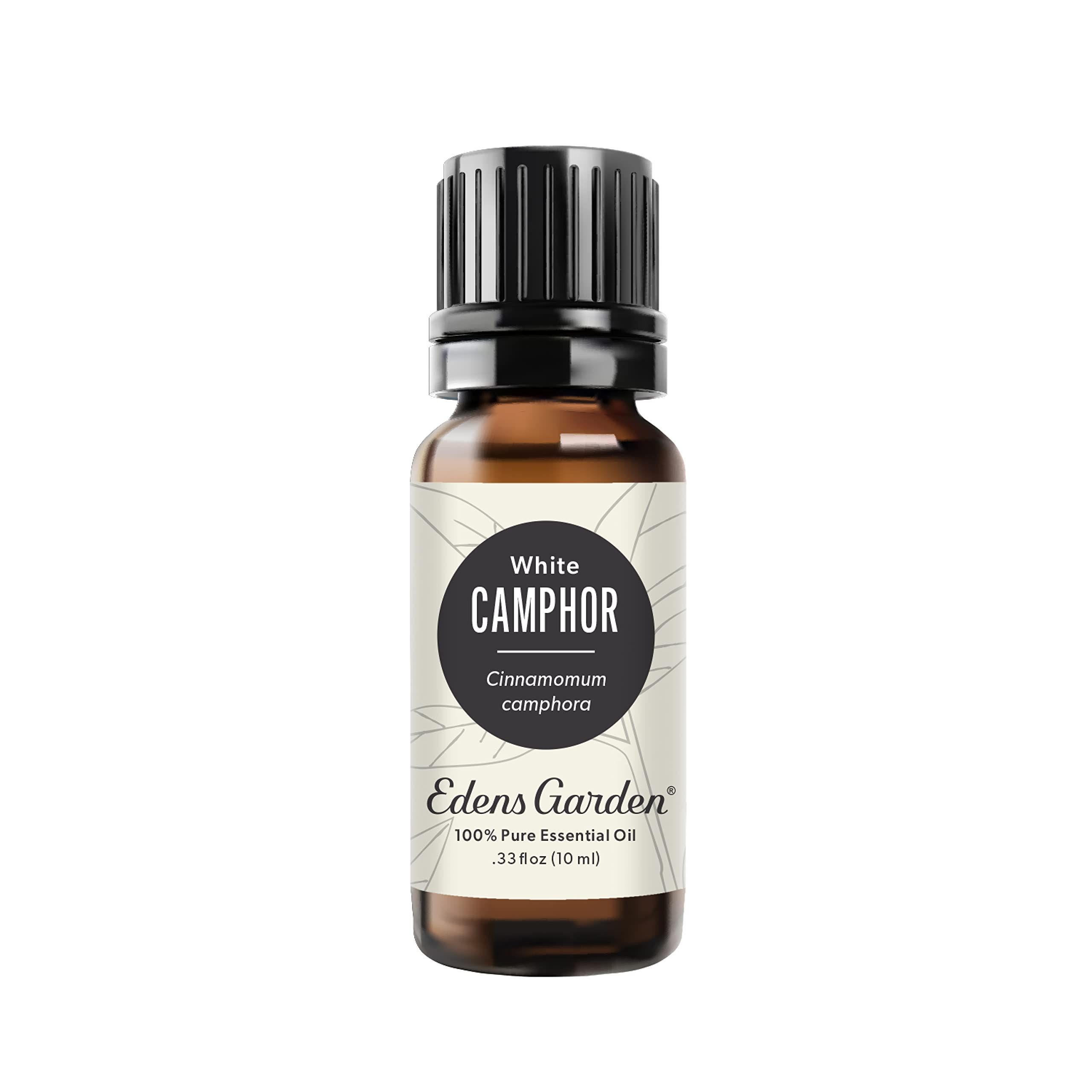 Edens Garden Camphor- White Essential Oil, 100% Pure Therapeutic Grade (Undiluted Natural/Homeopathic Aromatherapy Scented Essen