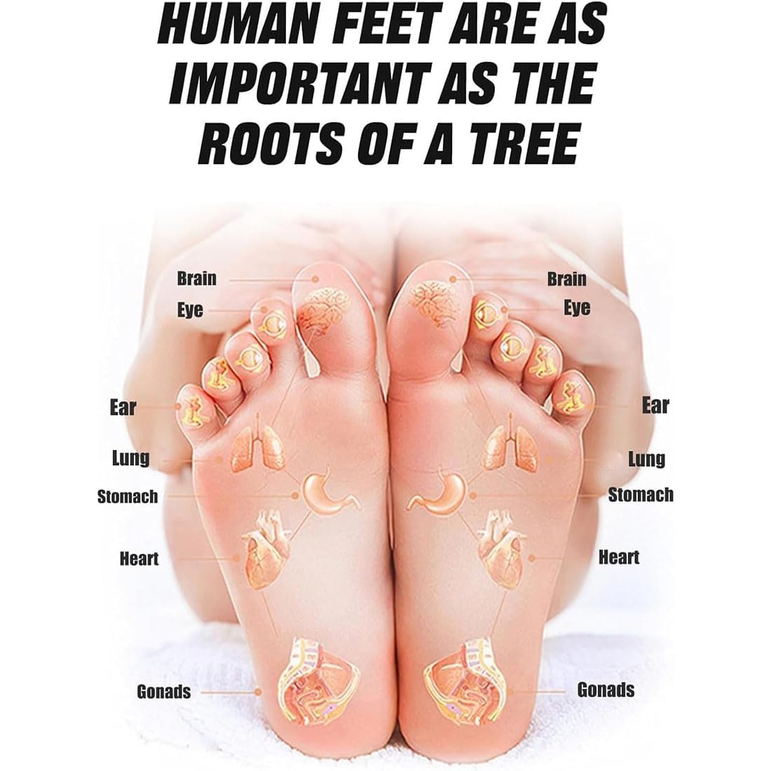 Ease Relief Socks, Reflexology Socks,Reflexology Socks with Tools,Reflexology Socks with Massage Tool,Beginner Acupoint Massage