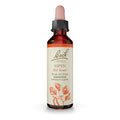 Bach Original Flower Remedies, Aspen for Apprehension and Security, Natural Homeopathic Flower Essence, Holistic Wellness, Vegan