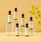Bach Flower Remedies Cerato 20ml