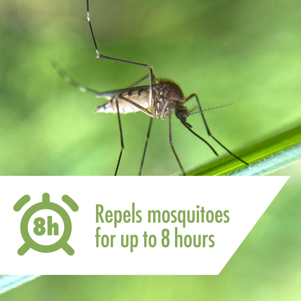 STEM Repels Mosquitoes And Ticks, Mosquito Repellent and Tick Spray, Picaridin Bug Spray, Fragrance-Free, 4 oz