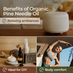 Gya Labs Organic Pine Essential Oil for Diffuser - 100% Pure Natural Pine Needle Essential Oil Organic for Skin, Hair, Candle Ma