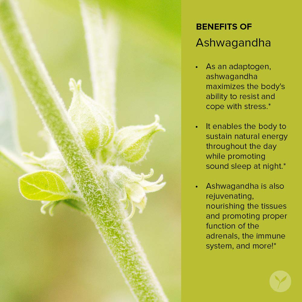 Banyan Botanicals Organic Ashwagandha Powder - Withania somnifera - for Vitality, a Healthy Immune System, Stress Relief, More*
