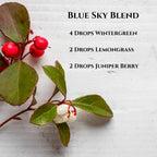 SenseLAB Wintergreen Essential Oil - Relaxation -100% Pure Extract Therapeutic Grade Wintergreen Oil for Aromatherapy Diffuser (
