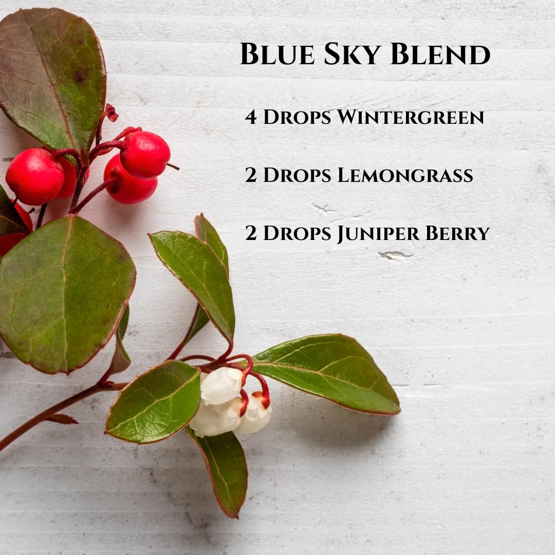 SenseLAB Wintergreen Essential Oil - Relaxation -100% Pure Extract Therapeutic Grade Wintergreen Oil for Aromatherapy Diffuser (