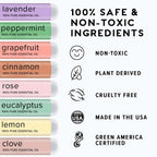 MOXE Smell Training Kit, Made in USA, 8 Essential Oils, Olfactory Regeneration, Helps Restore Sense of Smell, Natural Therapy fo