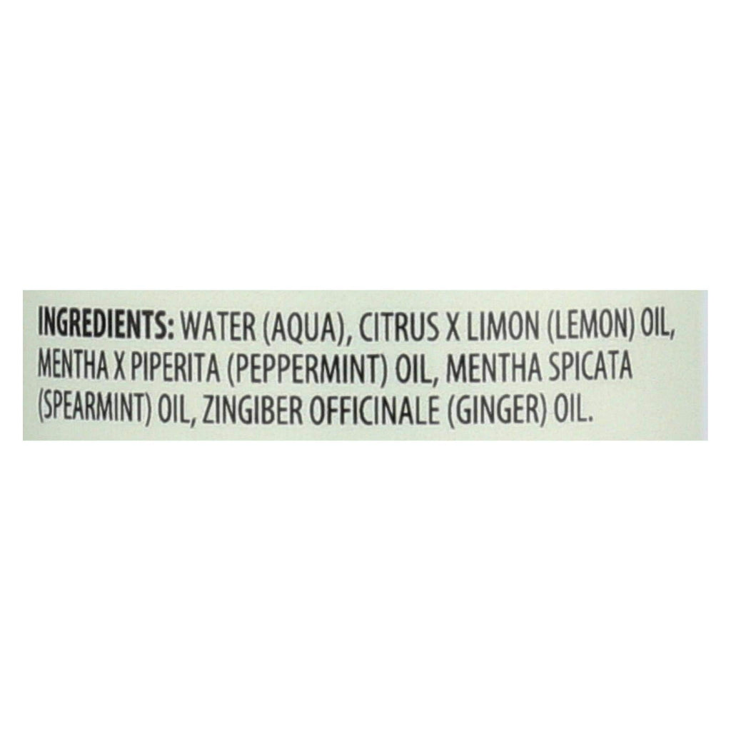 Aura Cacia Ginger Mint Mist (1x4 Oz)
