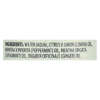 Aura Cacia Ginger Mint Mist (1x4 Oz)