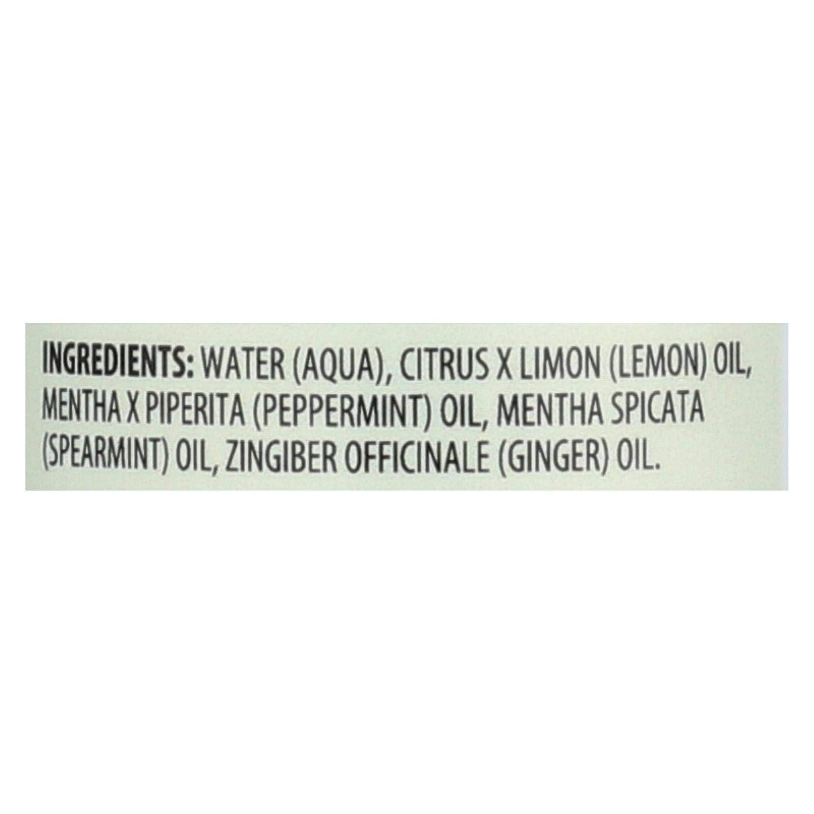 Aura Cacia Ginger Mint Mist (1x4 Oz)