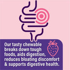 Probiotiv Anti Gas & Bloating Relief for Women and Men 7 Billion CFU - Chewable Probiotics & Lactobacillus Reuteri, Daily Digest