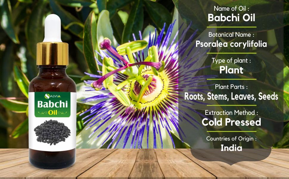 Salvia Babchi Oil (Psoralea Corylifolia) Pure & Natural Undiluted Uncut Cold Pressed Carrier Oil | Use for Aromatherapy | Therap
